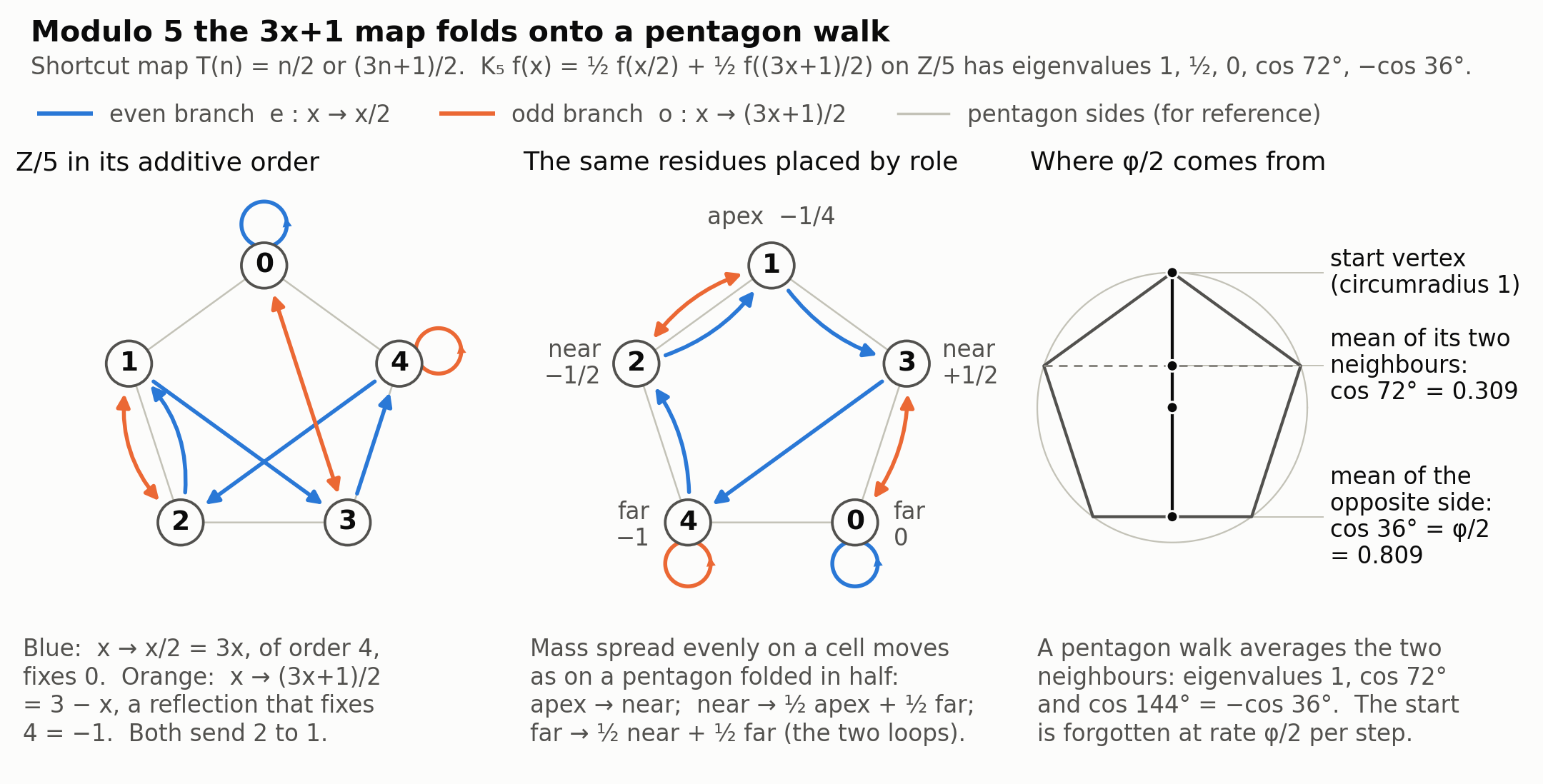 Three panels. Left, the residues 0 to 4 on a pentagon in additive order, with blue arrows for the even branch x to 3x and orange arrows for the odd branch x to 3 minus x. Middle, the same residues placed by role with their fractions from the proof, 1 at the apex, 2 and 3 beside it, 4 and 0 at the bottom with a loop on each. Right, a regular pentagon of circumradius 1, the midpoint of a vertex's two neighbours on a dashed chord at height cos 72 degrees, the opposite side at distance cos 36 degrees, half the golden ratio